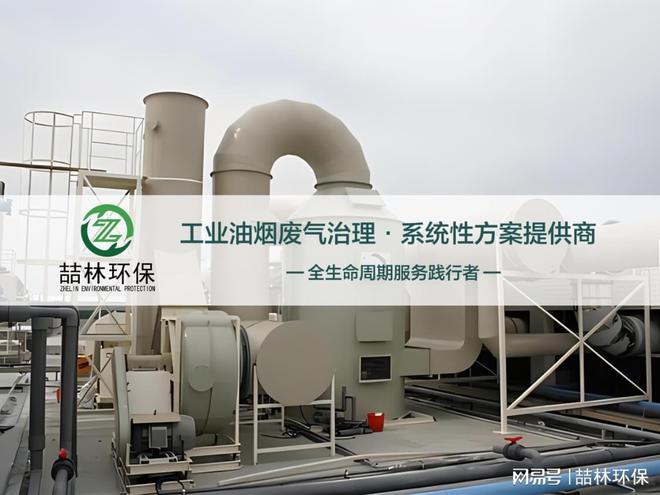 淀粉厂脉冲环保除尘器设备(图1)