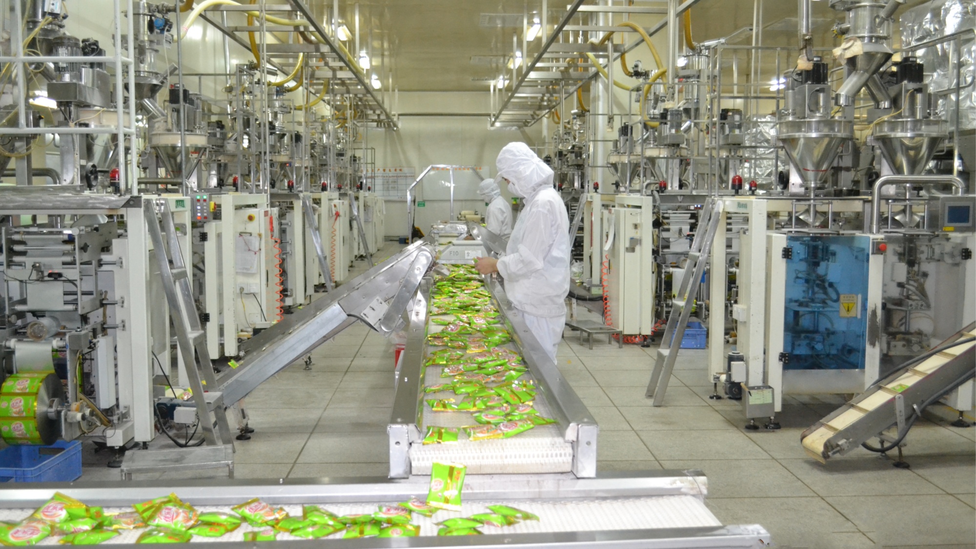 河北定兴：“链”上发力 食品产业焕新机(图1)