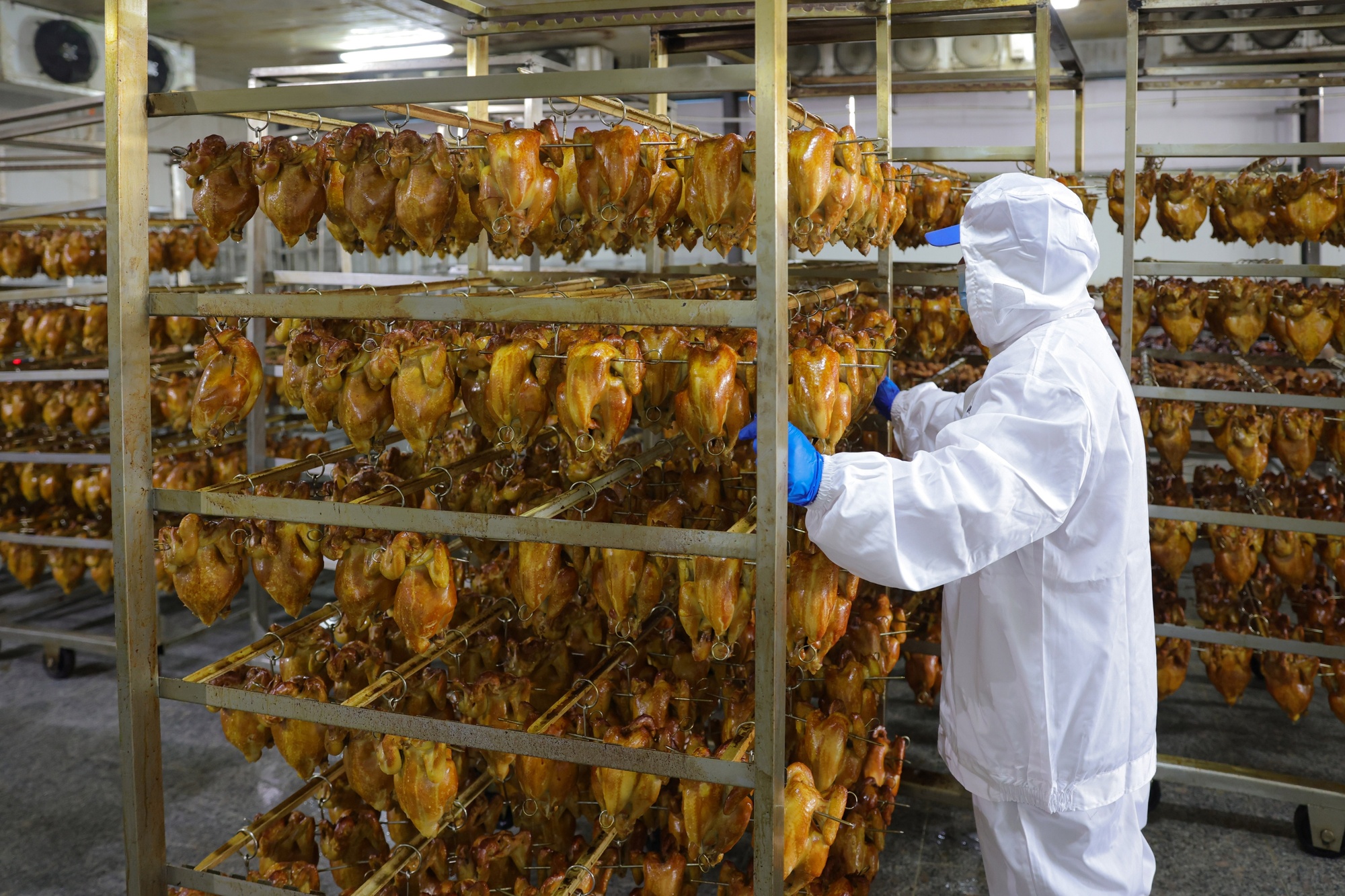 河北定兴：“链”上发力 食品产业焕新机(图4)