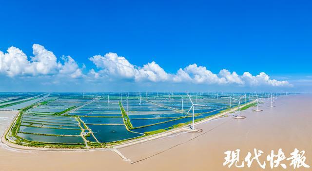 2025年全国重点媒体盐城行｜就想来看盐城的“绿”(图2)