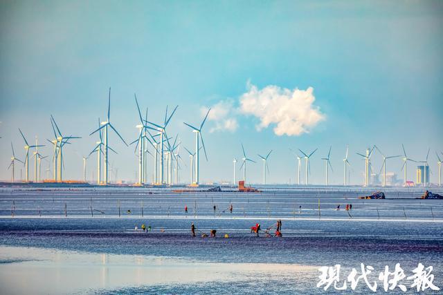 2025年全国重点媒体盐城行｜就想来看盐城的“绿”(图3)